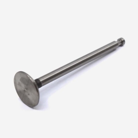 2 Pcs Soupape D'échappement De Fermentation Vanne D'étanchéité À L'eau